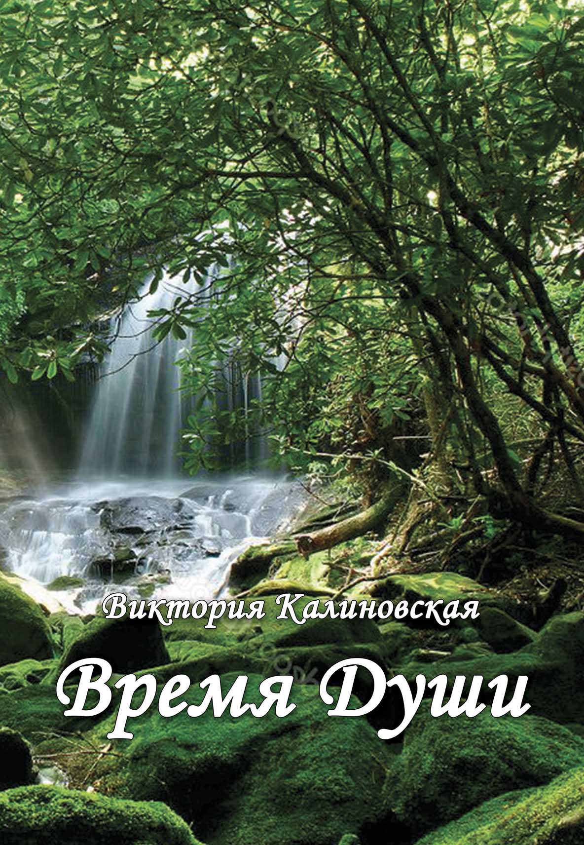 ВКЛице